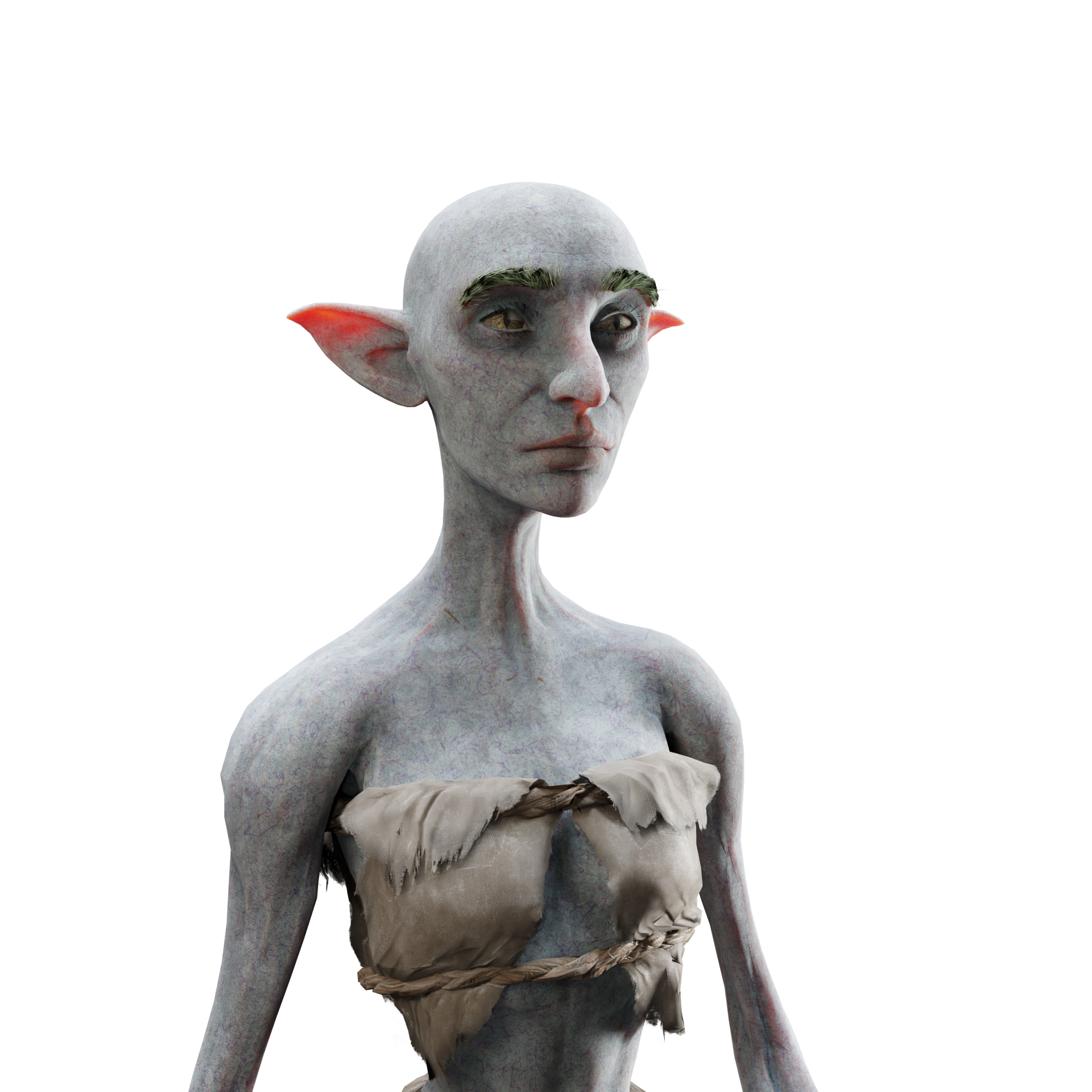 skeleton_image
